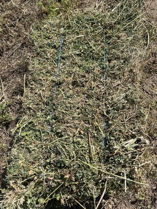 Baloti lucerna dreptunghiulari