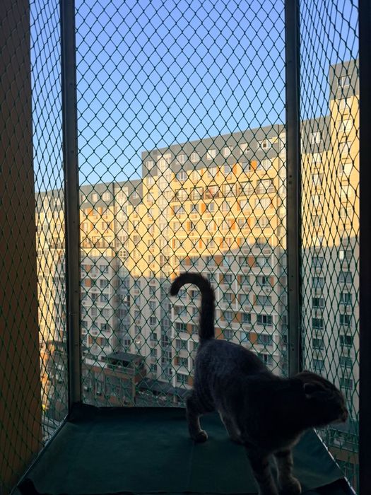 Балкон для кошки на окно