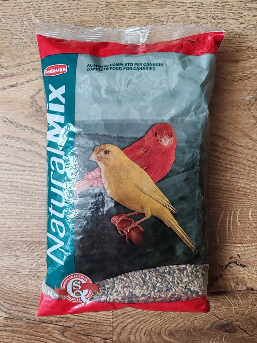 Canar bun cântăreț + 1KG semințe pentru canari