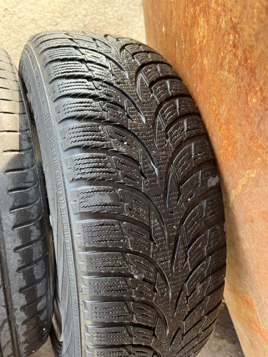 Торус титанка  р15