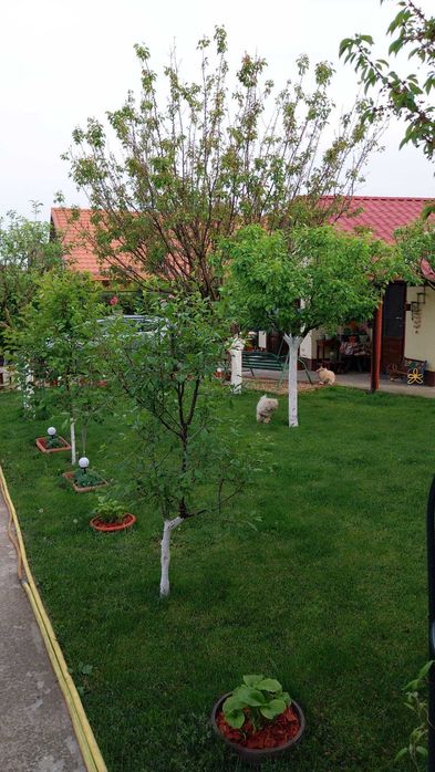 Casa de Vanzare Buftea