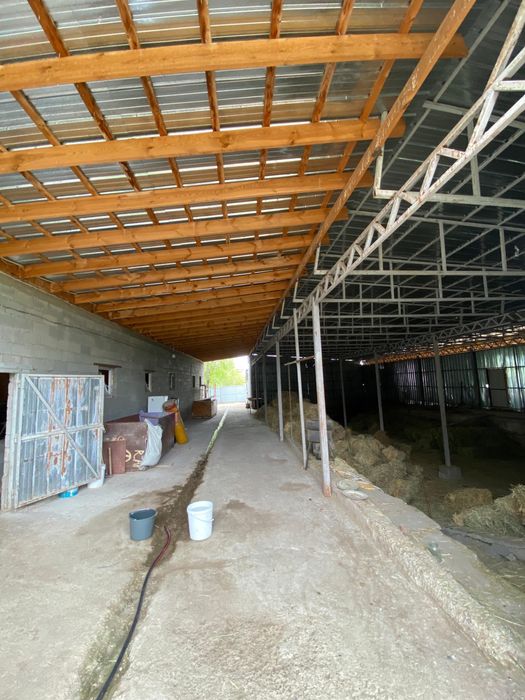 Продается фазенда