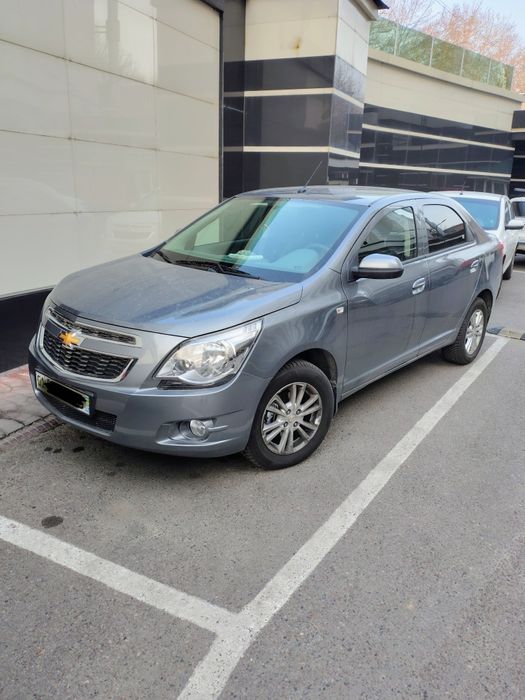 Кобальт MCM 2025 GYM