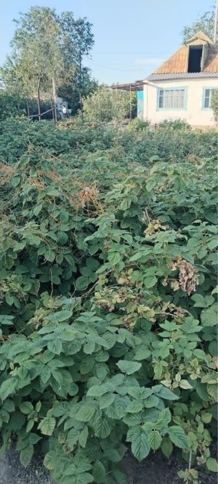 Продам дачу на баме г. Сатпаев