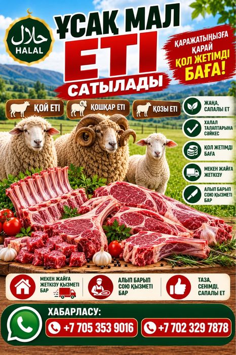 Әр түрлі бағада семіз қойлар