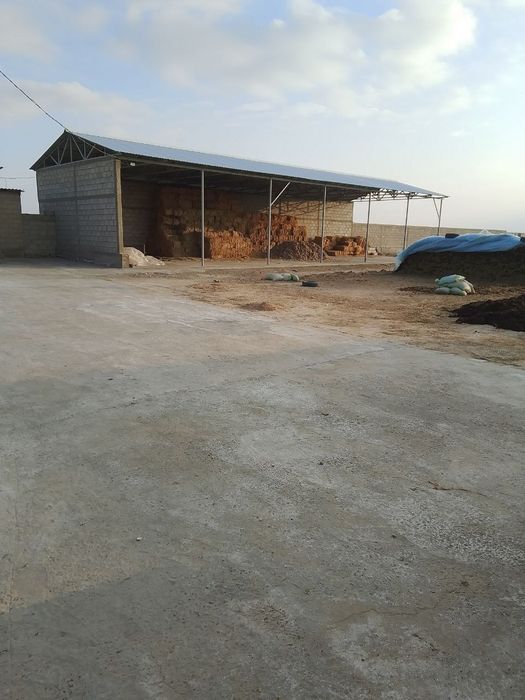 Навоий вилояти Кизилтепа туман марказида жойлашган чорвачилик комплекс