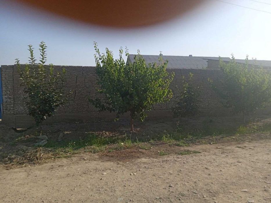 Ховли уй сотилади  5.5 х 3.5 кв2 дан 4 хона уй  13 сотих