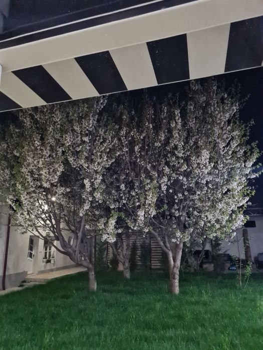 Hovli sotiladi yunusobod