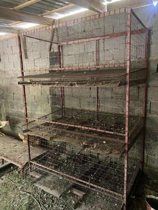 Клетка для кур несушек