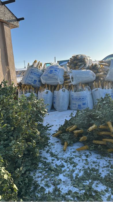 Березовый веники