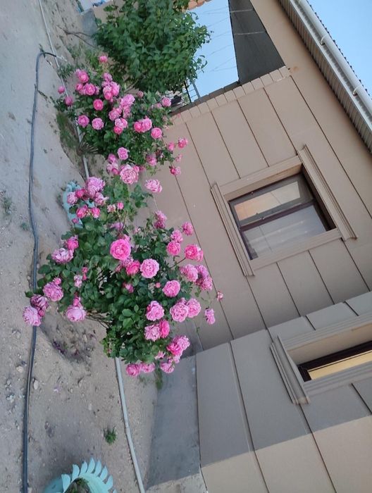 Сайыннан жер үй сатылады