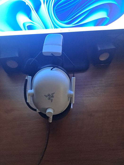 Razer BlackShark V2 X