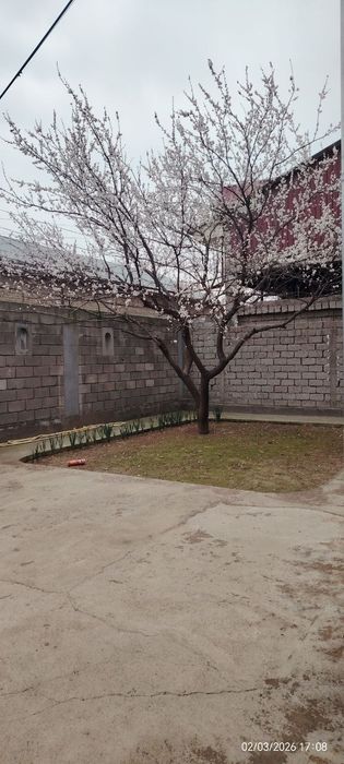 Уй сотилади Рохат пости Барданкул