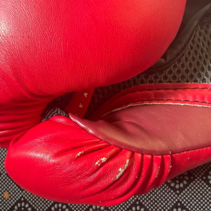 Боксови ръкавици Everlast Elite(with ever shield)