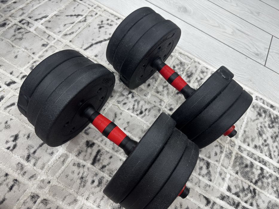 Пара Гантелей  2х 10