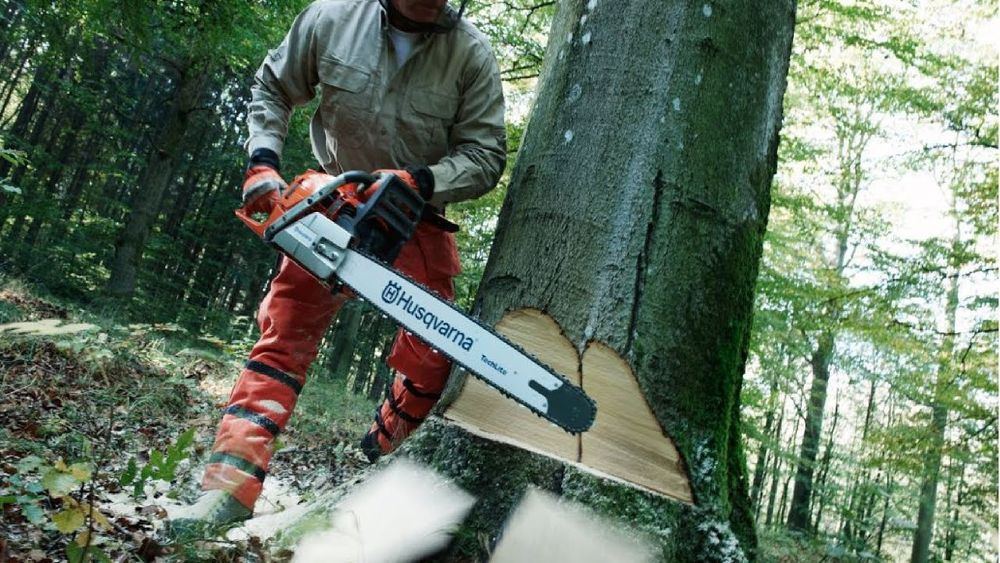 Дарахт кесиш хизмати ОБРЕЗКА деревьев