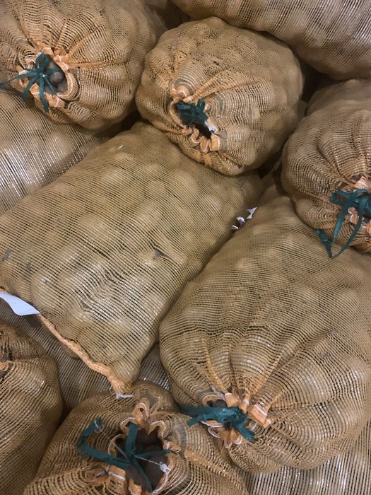 Картофель товарный