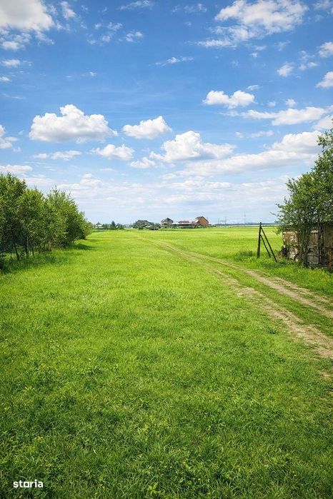 Teren intravilan 990 mp – Curteni, toate utilitatile