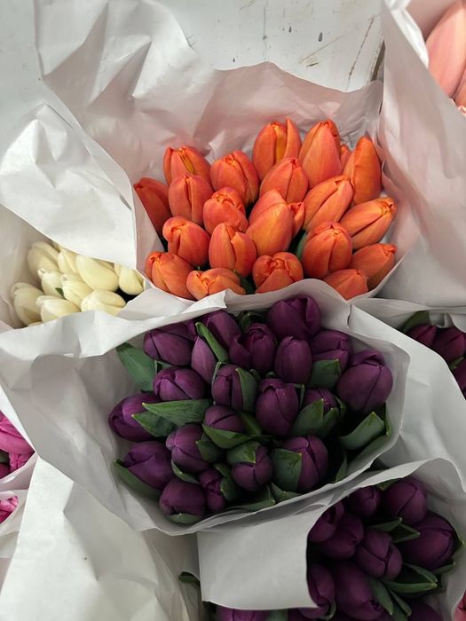 Тюльпаны Лолалар