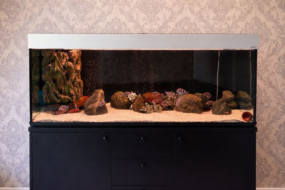 Аквариум Aquael 500л