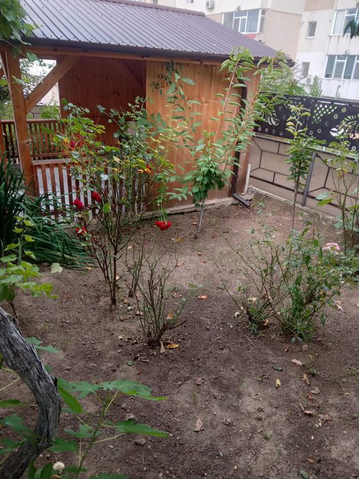 Cameră la curte de închiriat