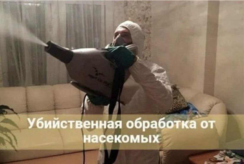 Дезинфекция костанай