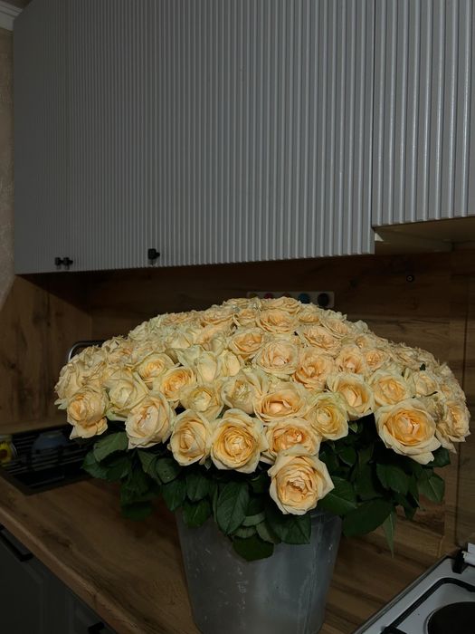 Цветы роза 201штук торг есть