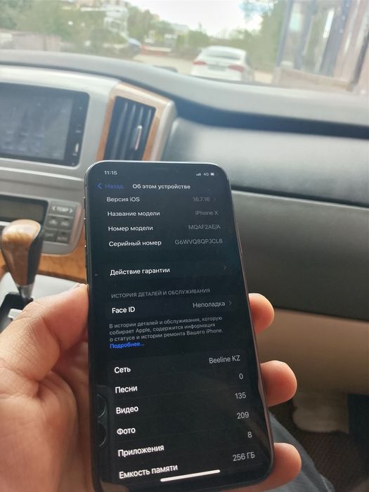 Iphone X 256 GB 100%