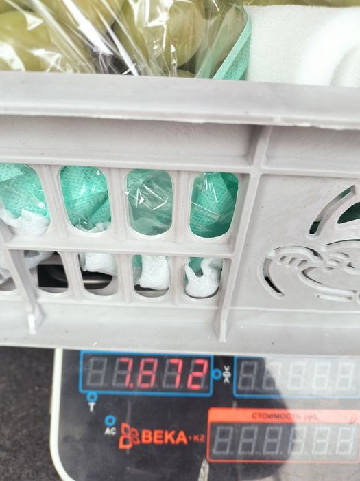 Шайн Мускат . Виноград зелёный