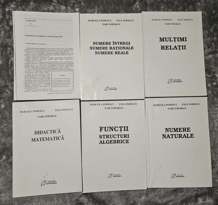 Carti  matematica Marcela Popescu