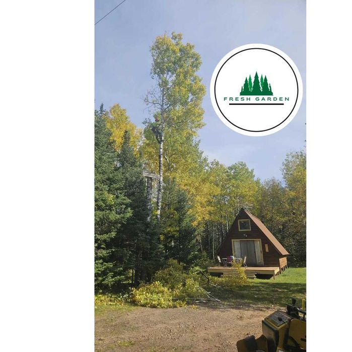 ARBORIST CERTIFICAT Toaletări Pomi Servicii Arboristică din America