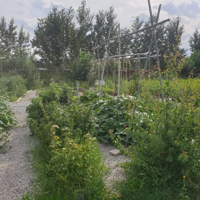 Продам дачу в обществе Весна