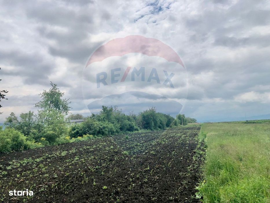 COMISION 0% | Teren intravilan 3250 mp | Stupini, str. Capra Neagra |