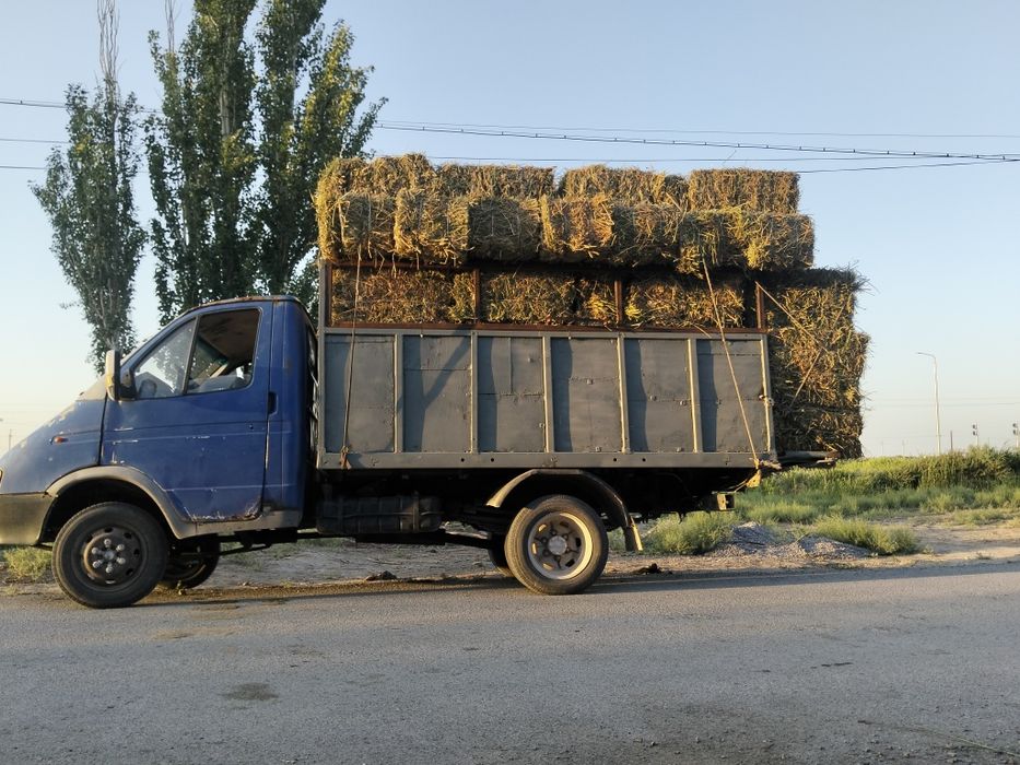 Жоңышқа бар ,1 ші орым,жеткізумен...