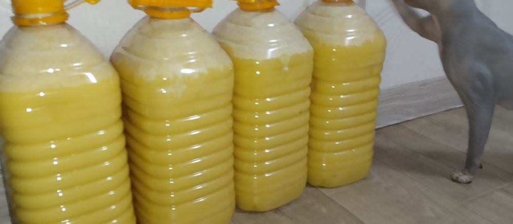 Мёд с личной пасеки