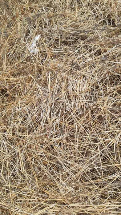 Сухая солома в мешках.