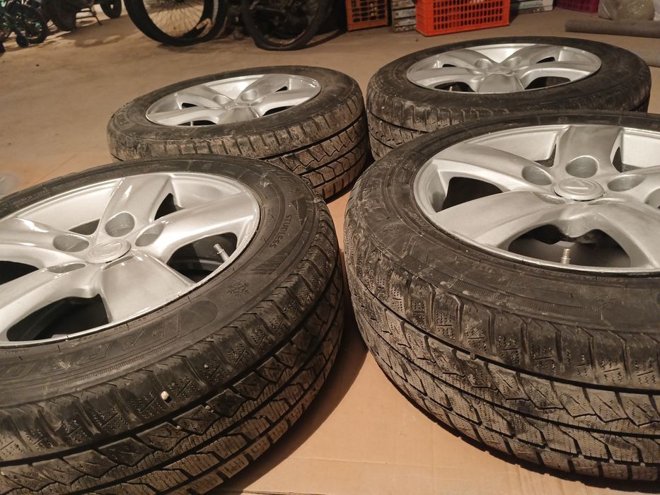 Зима лето все общи