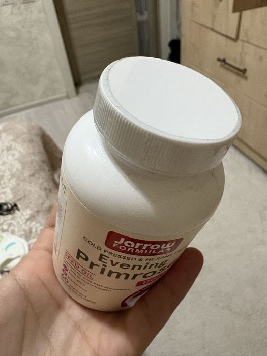 Jarrow evening primrose / вечерняя примула