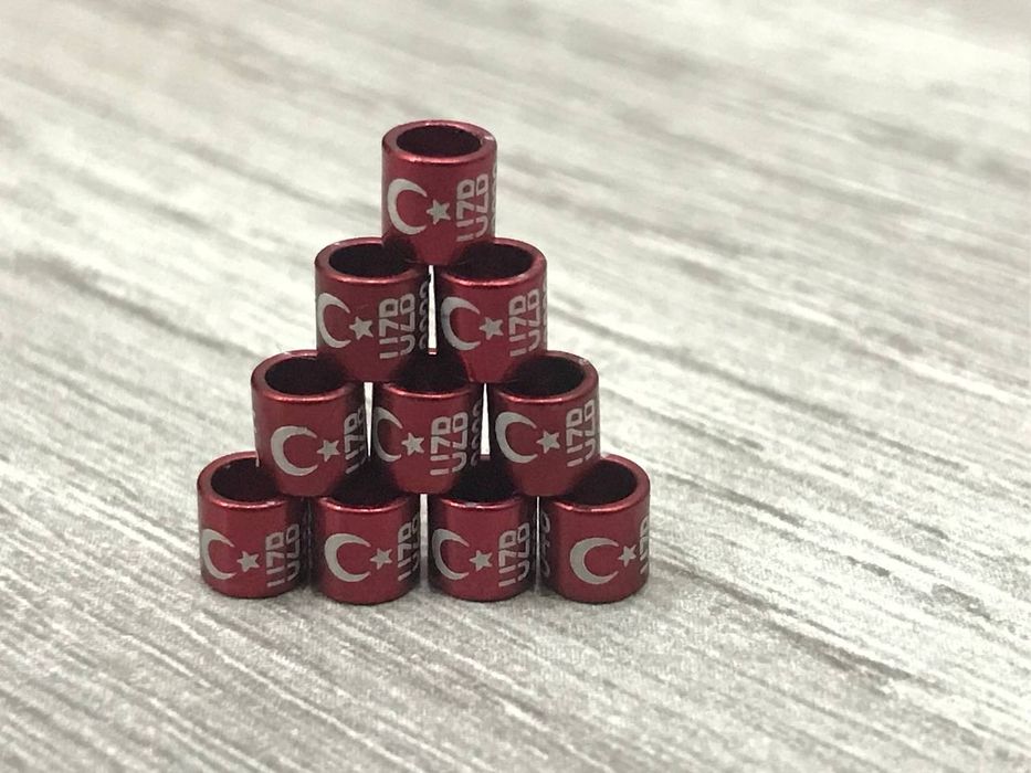 Барча кушлар калцо