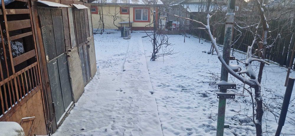 Casa de Vanzare in Oltenita