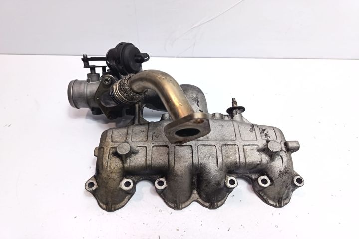 Galerie admisie cu egr 038129713AB Volkswagen VW Passat B5