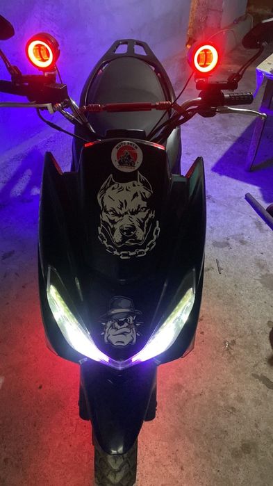 Макси спорт