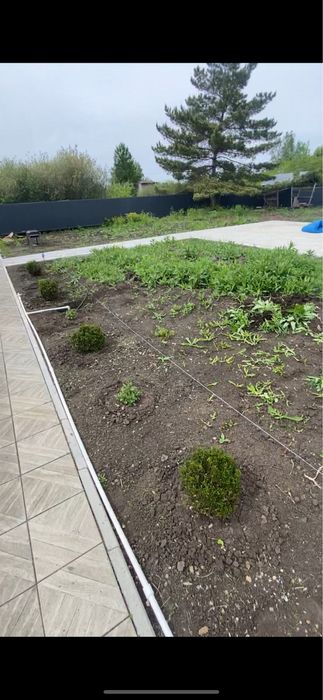 Газон под ключ с нашим материалом зеленый газон