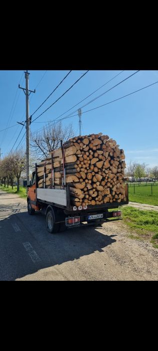 Lemne de foc fag