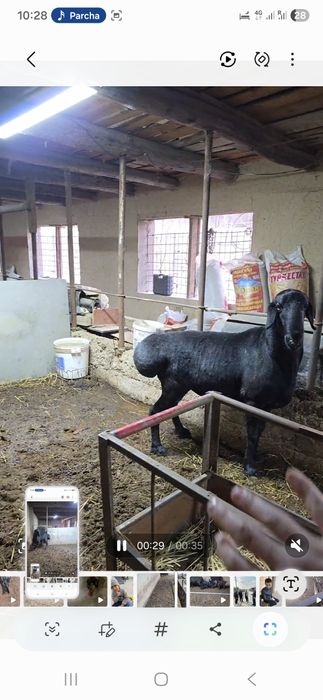 Лумизин линяа 2 г