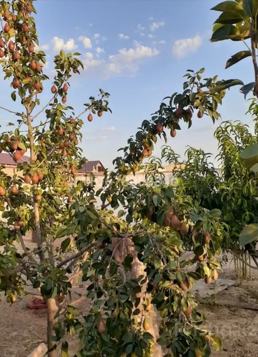 Дом в хорошем состоянии