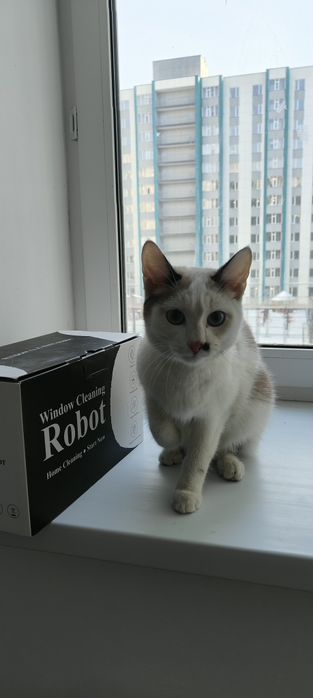 В добрые руки девочка