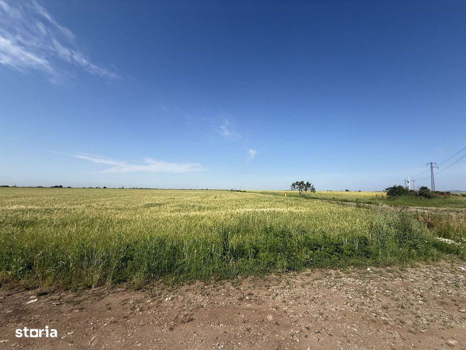 Teren 10 hectare pretabil pt panouri solare-Aricesti Rahtivani