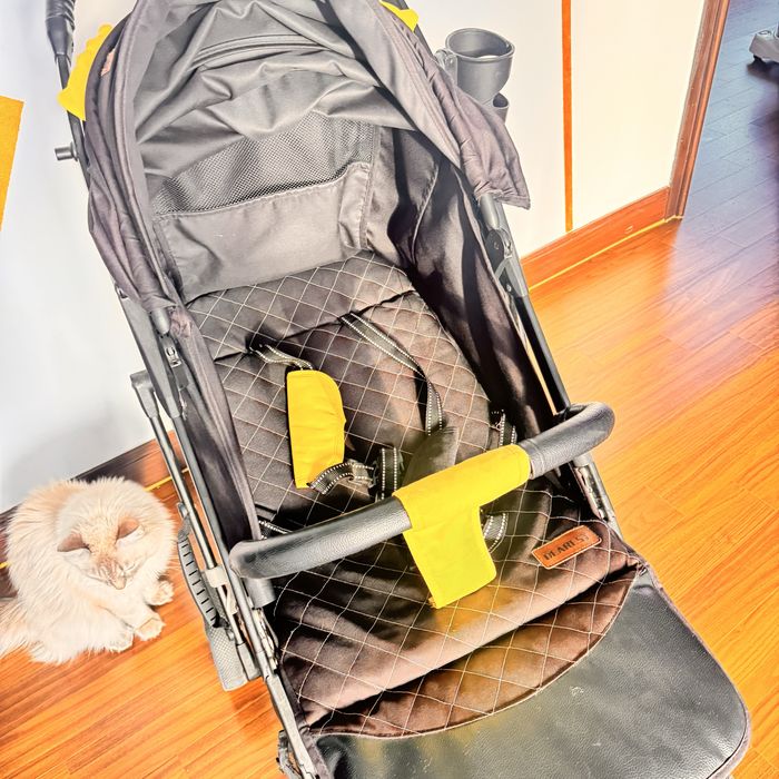 Коляска прогулочная Dearest.