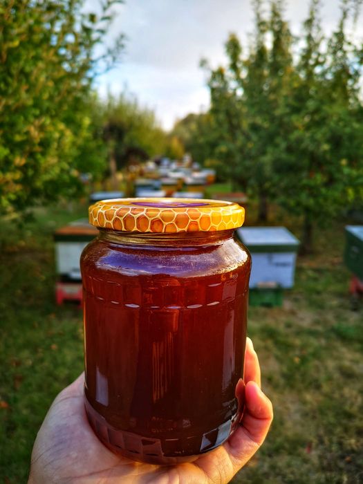 Miere de Albine de la Producător